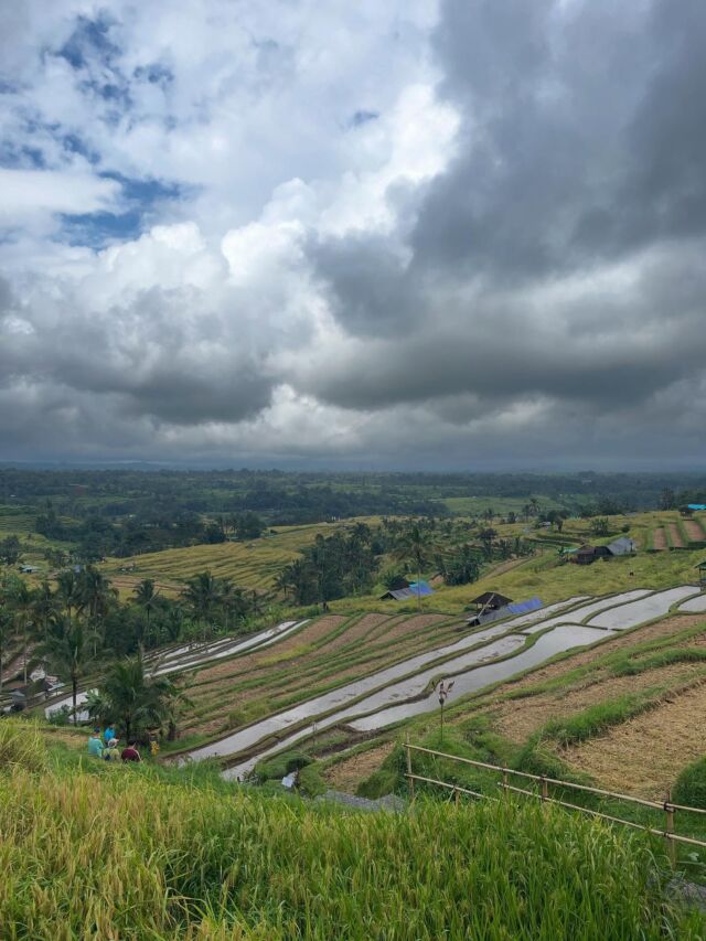 Riso, risaie, nuvole, pioggia e tanto Bali … #atelierdelviaggiatore #baliisland #indonesia #travelagent #travel